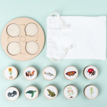 Eine Tasche mit Holzpuzzles, die Insekten darstellen - Evolution of Nature Game.