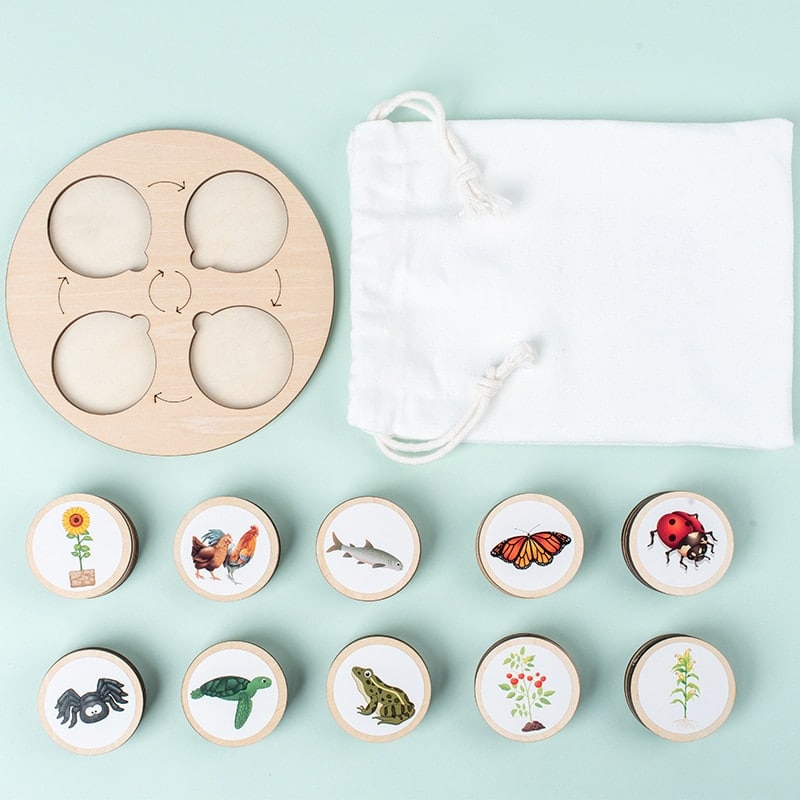 Eine Tasche mit Holzpuzzles, die Insekten darstellen - Evolution of Nature Game.