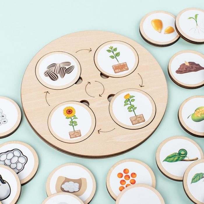 Ich ersetze das Produkt im folgenden Satz durch den Namen des angegebenen Produkts:Satz: Ein Natur-Evolutions-Spiel zeigt verschiedene Pflanzenarten.